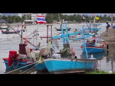 Panik Pop Feat. Joke - Life Is Journey (Official Video)