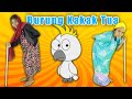 BURUNG KAKAK TUA Lagu Anak Dan Balita Indonesia
