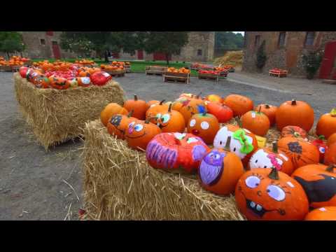 Kürbisfest auf dem Nonnenhof in Ilbenstadt
