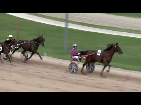 2022.09.11. 02. futam - ELEGANT YANKEE DÍJ