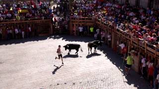 preview picture of video '2º encierro de Fermoselle 2014 toma 2'