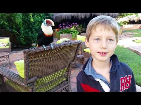 Tot anirà bé, amb lletra.