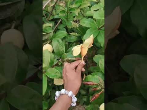 #habiba #💞💞💞💞💞😩