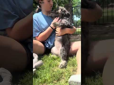 Video 2