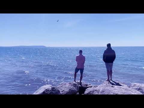 SUPER-Hi x NEEKA - Following The Sun (Supermini Marimba Remix)