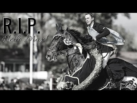 Vom Karnevalspferd zum Derby-Sieger 😱 | R.I.P. Hello Max 😢 | Gilbert Tillmann's Ausnahmepferd
