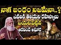 Mystery Of Naga Bandham History Of Naga Bandham NagaBandham Mystery Revealed By Aravindh Aghori