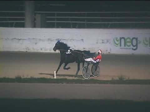 Trotto 11/11/2018 - 7ª corsa