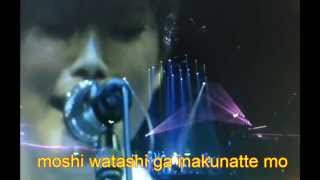 FLOWER FLOWER - Takaramono - au PERFECT SYNC. (lyrics)