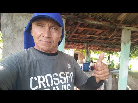 Bal gravações Cuité de Mamanguape está ao vivo!