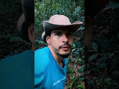 Boqueirão do Leão é um município do estado do RS, no Vale do Rio Pardo.