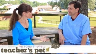 Facts About Spaying and Neutering | Teacher's Pet With Victoria Stilwell