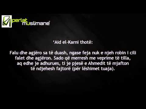 Selman el 'Aude, Sefer el Hauali dhe 'Aid el Karni janë prej Tekfiriunëve