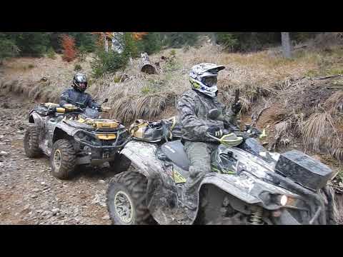 Rumunsko Perla Padurii 18