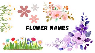 30 Flowers Names In English - For Nursery Class - Learn Flowers Names -Star Kids