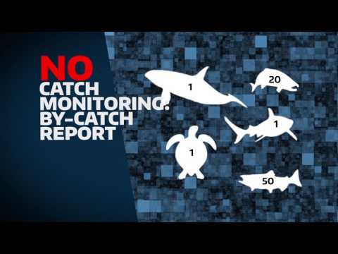 eACDS-Catch Report Hybrid