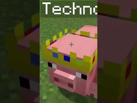 name tag in Minecraft for pig to get technoblade crown😪😪