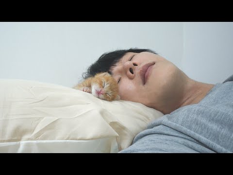 What Happens When I Sleep with My Baby Kitten?