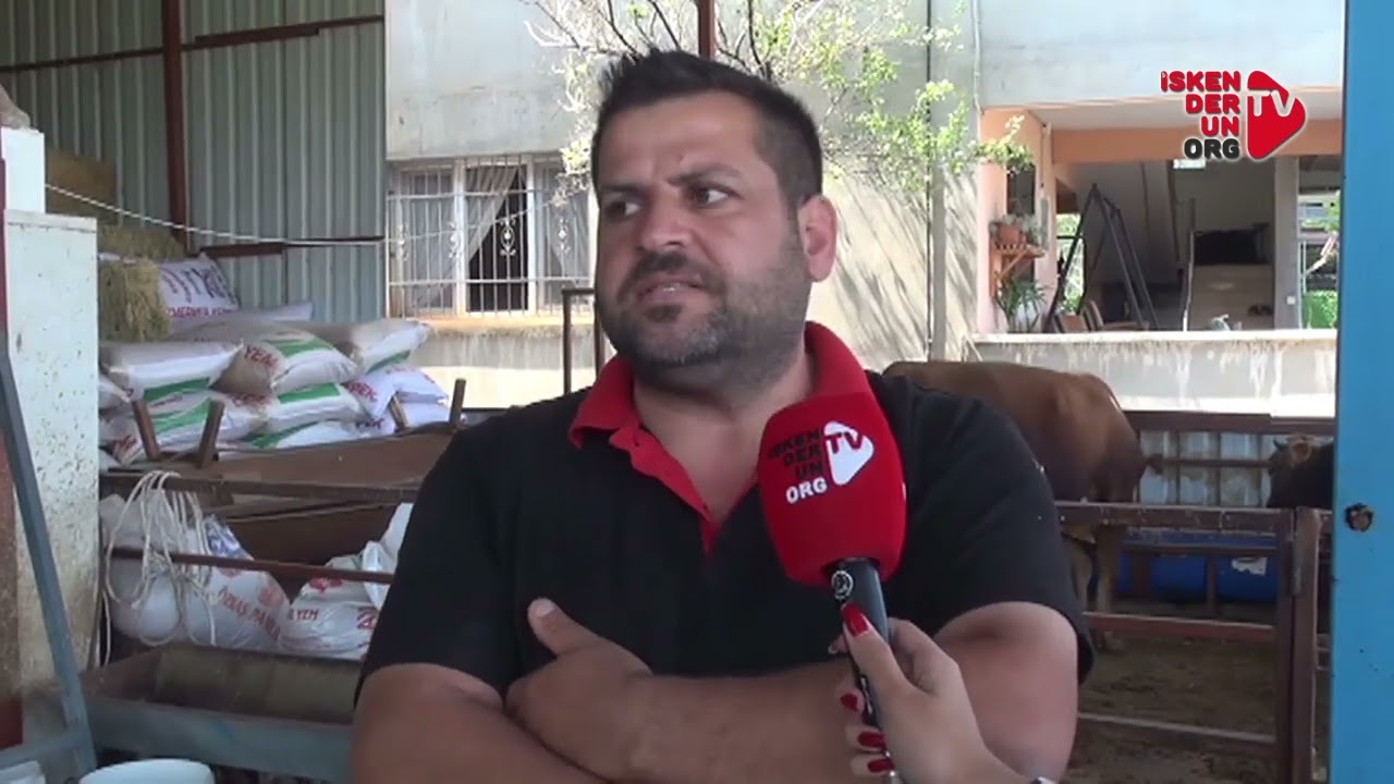 Kurban Bayramı Öncesi Besiciler Zorlanıyor…