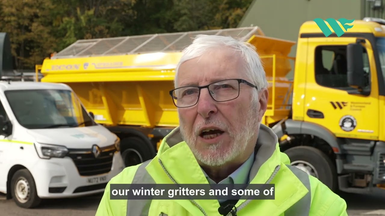 Fleet Decarbonisation and Replacament Strategy