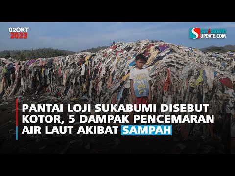 Pantai Loji Sukabumi Disebut Kotor, Ini 5 Dampak Pencemaran Air Laut Akibat Sampah