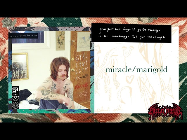 Field Medic - Miracle / Marigold (Remix Stems)