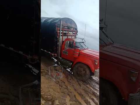 Vía a Cumaribo Vichada 🇨🇴 #trucks #automobile #truckesvlogs #offroad #troquero #trucking #driver