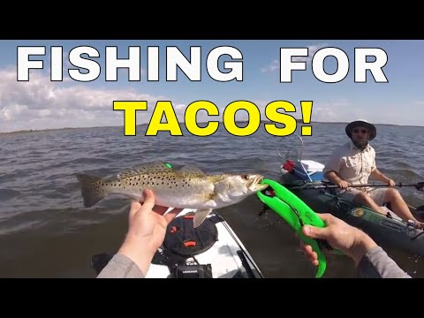 download lagu mp3 mp4 Kayak Cedar Key Fl, download lagu Kayak Cedar Key Fl gratis, unduh video klip Kayak Cedar Key Fl