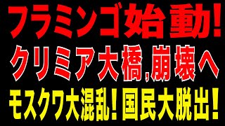 2025/8/30　ウクライナ最終兵器フラミンゴ始動！1発で戦局激変　フラミンゴがロシアの石油・港湾・鉄道を直撃へ。クリミア大橋崩壊の悪夢！モスクワ大パニック! ロシア国民が大脱出開始か