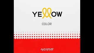 Carta de Color YELLOW - ALFAPARF