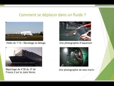 Webinaire AFEF - Ecrits réflexifs - 9 mars 2022