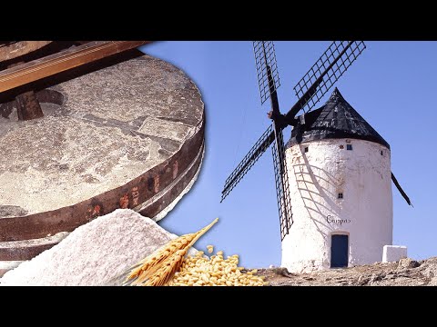 MOLINO DE VIENTO gigante para elaborar HARINA a través de la molienda ancestral del trigo