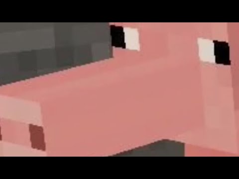 Raiding a woodland mansion in minecraft!