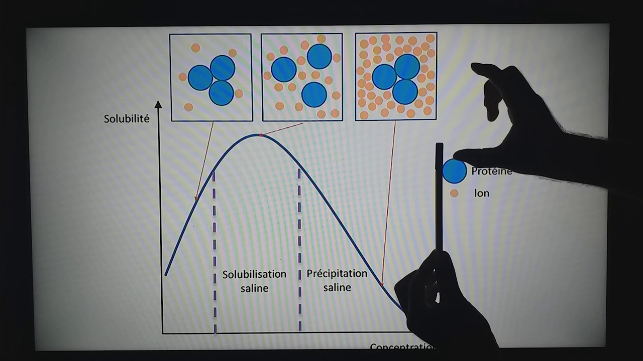 Métodos de purificação de proteínas. Aula 10.