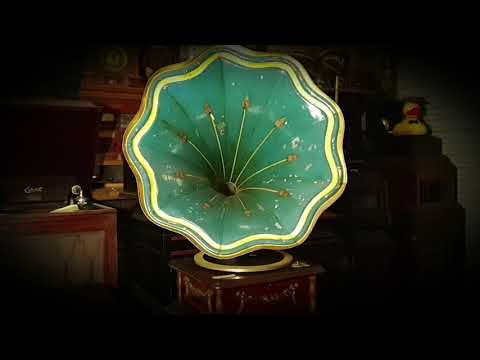 Midnight Rose. Lyman's California Ambassador Orchestra. Brunswick 78rpm record. Kalophone Phonograph