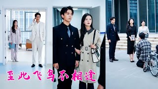 結婚6年才知他當初娶她只是為了報復出國的白月光，對她沒有半點真情實意，徹底看清渣男真面目她果斷走人，後來她找到真愛收獲幸福人生煥然一新，渣男意識到她的好悔不當初但晚了！