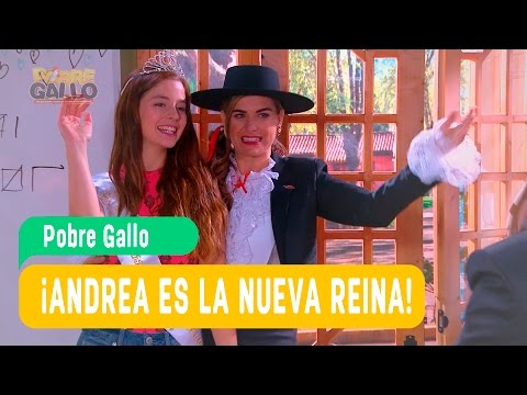 Pobre Gallo - Andrea y Borja Capítulo 69