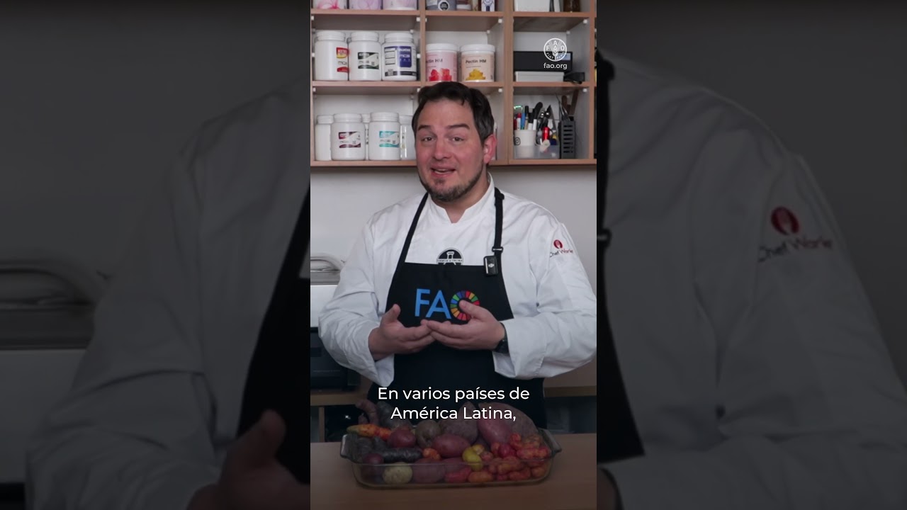 5 razones por las que la papa merece su propio día