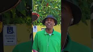 St. Thomas, Virgin Islands Carnival Venezia Ship Mountain View #Vacation