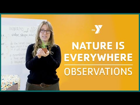 Nature Is Everywhere with Reesha: Observations - Classrooms For All