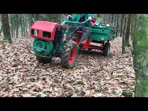 Labin Progres (GOLDONI) 14HP diesel - FIREWOOD DRIVING