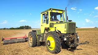 MB Trac 900 Turbo mit 6 m Camebridge-Walze fährt im Biobetrieb
