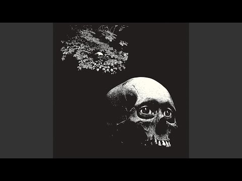 Sacrifice - Osees