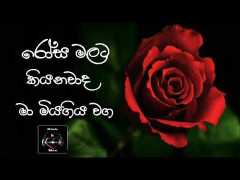 Rosa malata kianwada ma miyagiya bawa song- රෝස මලට කියනවාද  Song |Krishantha Erandaka| Musiclk Max