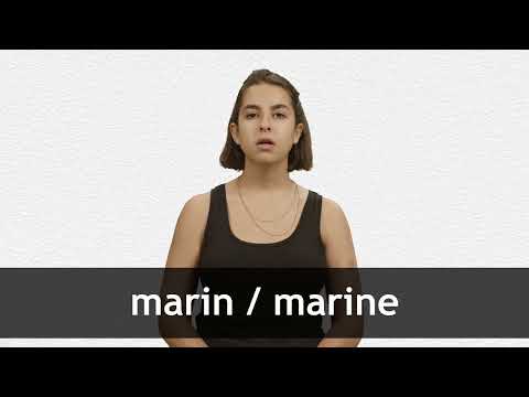 How to pronounce MARIN / MARINE in French