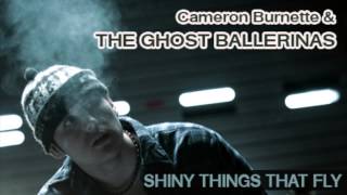 SHINY THINGS THAT FLY - The Ghost Ballerinas