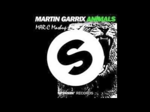 Martin Garrix vs David Guetta - Ain't party animals (Marcel Trump Mashup)