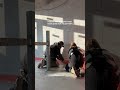 Randisolatie