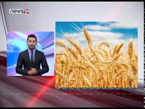 TODAY FATAFAT NEWS - NEWS24 TV