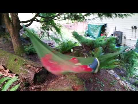 Ethan's Summer Camps at Home.07.15.2016.